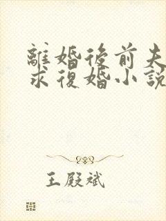 离婚后前夫哭着求复婚小说版