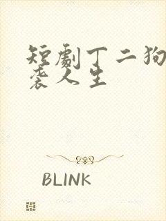 短剧丁二狗的逆袭人生封面