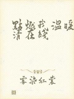 点燃我温暖你高清在线