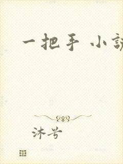 一把手 小说