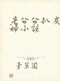 老公公扒灰儿媳妇小说封面