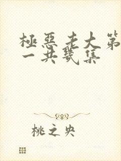 极恶老大第二季一共几集