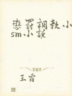 惩罚调教小母狗sm小说