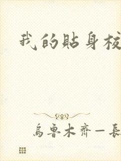 我的贴身校花
