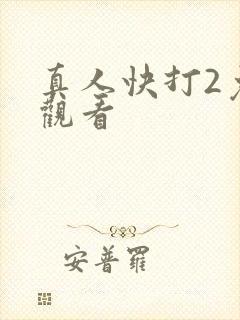 真人快打2免费观看