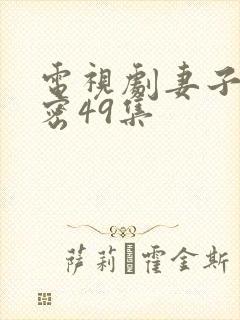 电视剧妻子的秘密49集