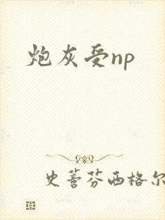 炮灰受np封面