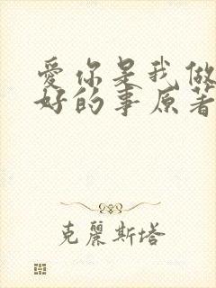 爱你是我做过最好的事原著