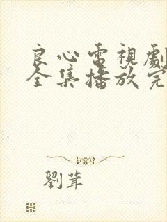 良心电视剧免费全集播放完整版