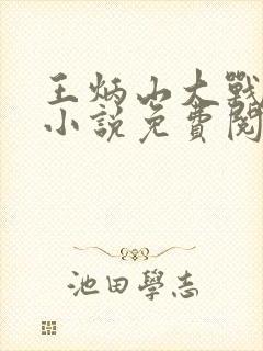 王炳山大战五女小说免费阅读