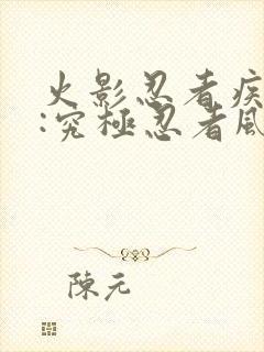 火影忍者疾风传:究极忍者风暴2