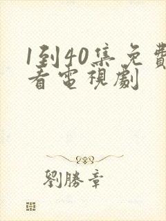 1到40集免费看电视剧