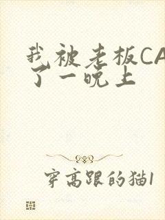 我被老板CAO了一晚上封面