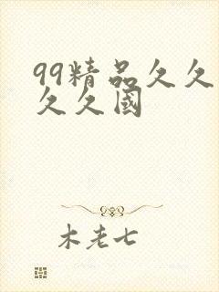 99精品久久久久久国