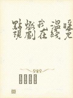 点燃我温暖你电视剧在线免费观看