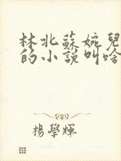 林北苏婉儿萧晴的小说叫啥