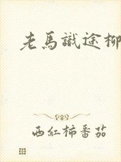 老马识途柳娇娇