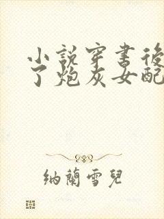 小说穿书后我成了炮灰女配