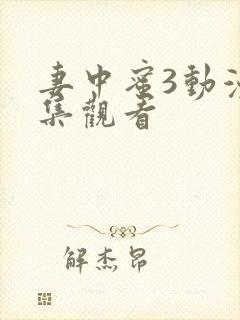 妻中蜜3动漫全集观看