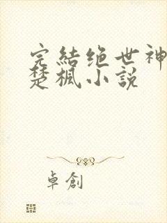 完结绝世神皇 楚枫小说