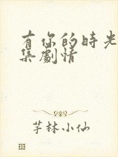 有你的时光里分集剧情