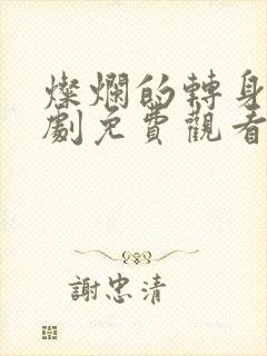 灿烂的转身电视剧免费观看全集高清