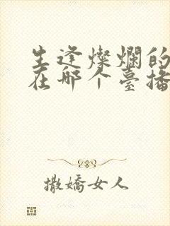 生逢灿烂的日子在哪个台播出封面