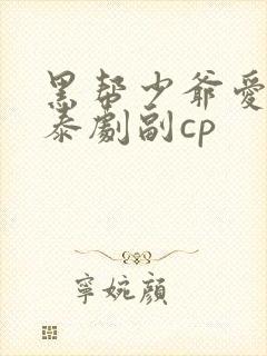 黑帮少爷爱上我泰剧副cp