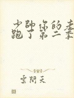 少帅你的老婆又跑了第二季