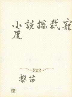 小说总裁宠妻无度