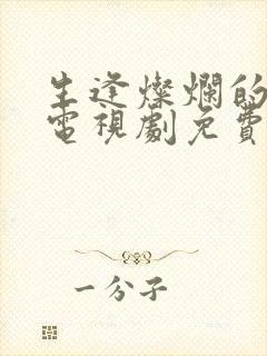 生逢灿烂的日子电视剧免费观看完整版