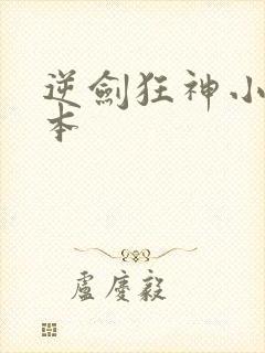 逆剑狂神小说完本