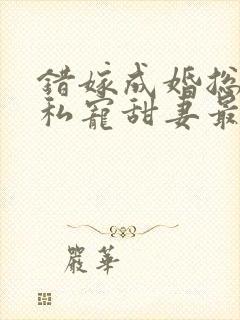 错嫁成婚总裁的私宠甜妻最新