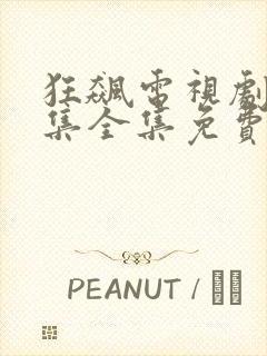 狂飙电视剧40集全集免费在线观看