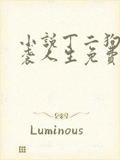 小说丁二狗的逆袭人生免费阅读