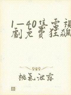 1—40集电视剧免费狂飙封面