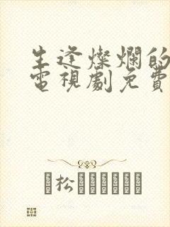 生逢灿烂的日子电视剧免费播放封面