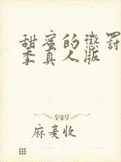 甜蜜的惩罚第2季真人版封面