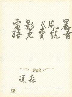 电影《风暴》国语免费观看