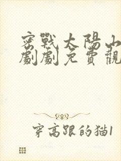 密战太阳山电视剧剧免费观看全集