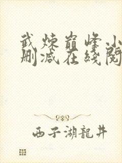 武炼巅峰小说无删减在线阅读