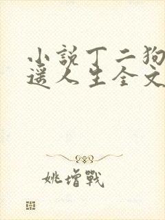 小说丁二狗的逍遥人生全文