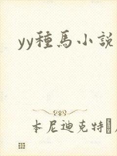 yy种马小说