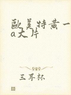 欧美特黄一级aa大片封面