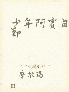 少年阿宾目录章节