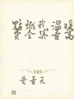 点燃我温暖你免费全集看高清