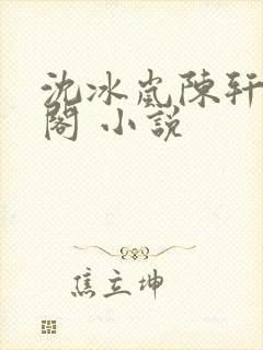 沈冰岚陈轩笔趣阁 小说封面