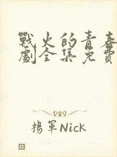 战火的青春电视剧全集免费观看