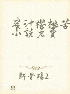 蜜汁樱桃苦咖啡小说免费