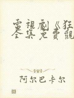 电视剧《狂飙》全集免费观看